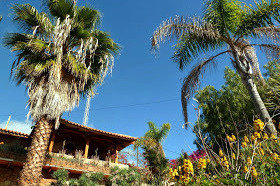 Terasse mit Blick auf Finca, Dorf und Meer