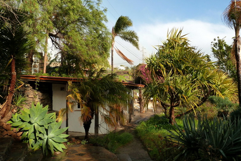 Ein bescheidenes Quartier umgeben von Palmen